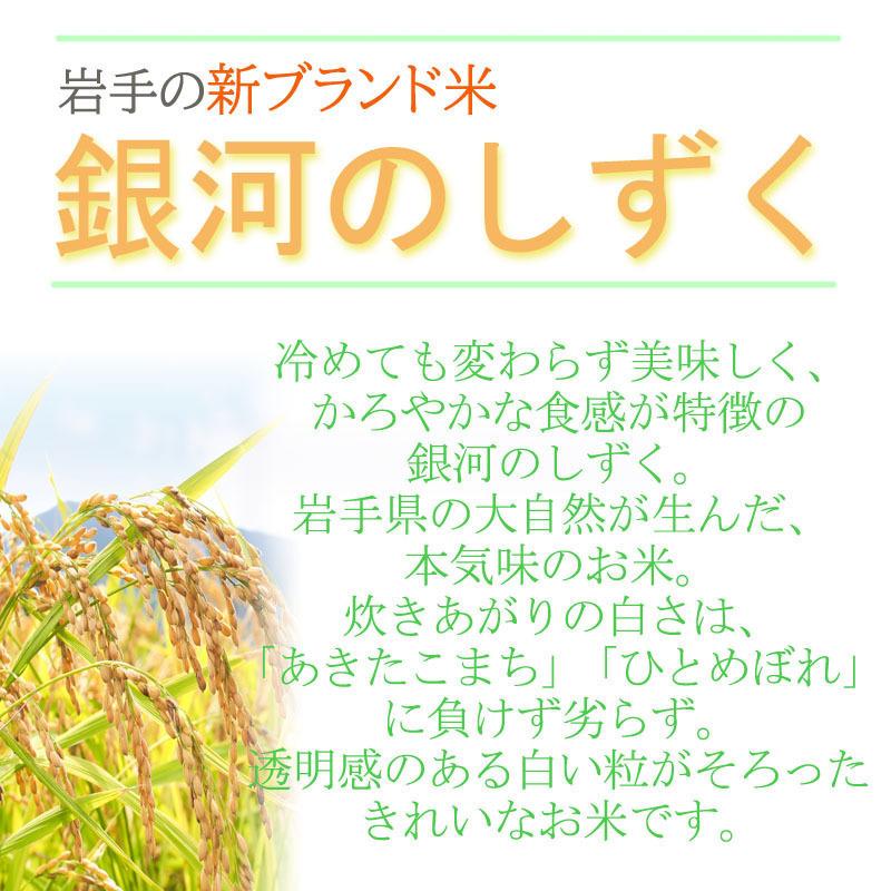 ポイント消化 米 お米 送料無料 銀河のしずく 900g (6合) 令和4年産 岩手県産 白米 無洗米 分づき 玄米 当日精米 真空パック メール便 ゆうパケ