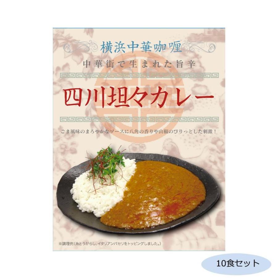 ご当地カレー 神奈川 横浜中華カレー 四川坦々カレー 10食セット