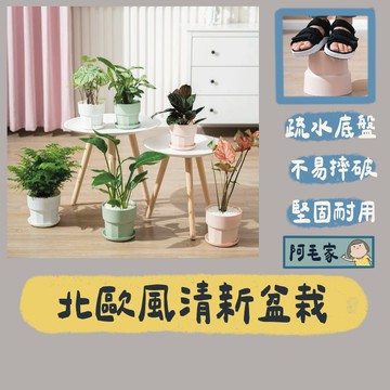 花盆 盆栽 園藝花盆 戶外花盆 塑膠花盆 盆栽容器  控根盆栽 簡約花盆 透氣花盆 園藝用品 附拖盤