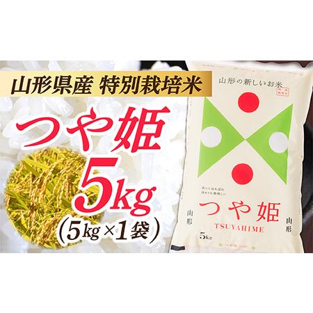 ふるさと納税 IG山形県産 特別栽培米 つや姫5kg (5kg×1袋) 山形県最上町