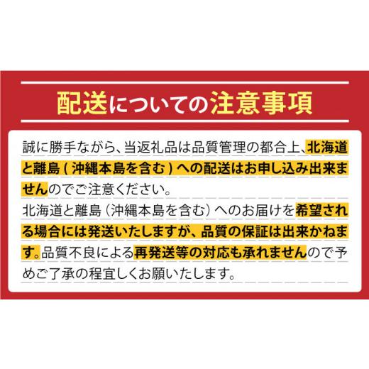 ふるさと納税 長崎県 南島原市 先行予約 2024年3〜4月発送 サラダ たまねぎ 5kg  玉ねぎ ／ 南島原市 ／ 長崎県農産品流通合…