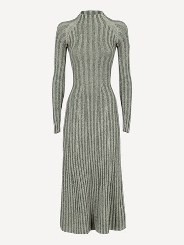 Dion Lee Long Dress