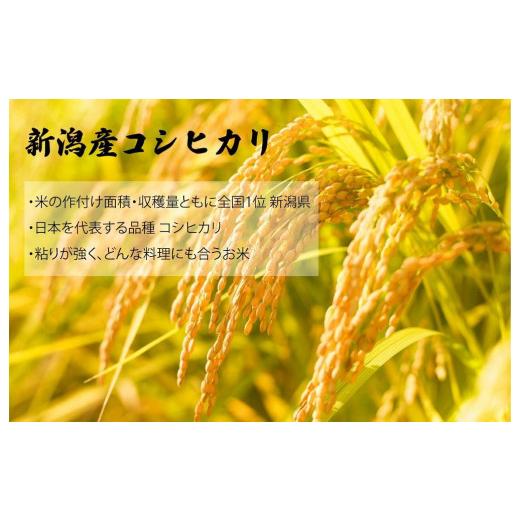 ふるさと納税 新潟県 十日町市 新潟産コシヒカリ ふっくらパックご飯 180g x 18個