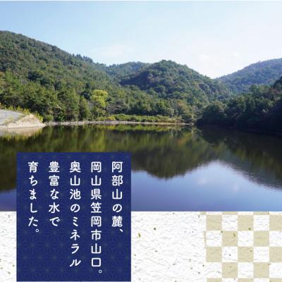 ふるさと納税 笠岡市 無洗米 岡山県産ひのひかり 笠岡産 10kg 太陽の恵み O-2_10k