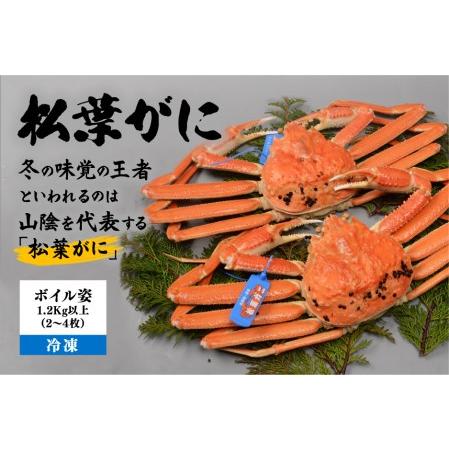 ふるさと納税 松葉がにボイル姿1.2Kg以上（2〜4枚）（冷凍）　23050-13 島根県松江市