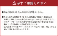 タテガミ入り 馬肉 ハンバーグ デミソース 8個 セット 計1.6kg