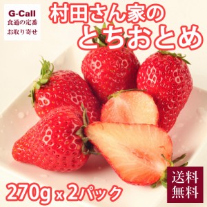 茨城県鉾田産 村田さん家のとちおとめ 270g 2パック 送料無料 イチゴ 苺 ギフト いちご フルーツ 果物 くだもの 甘さと酸味 旬 大粒  生