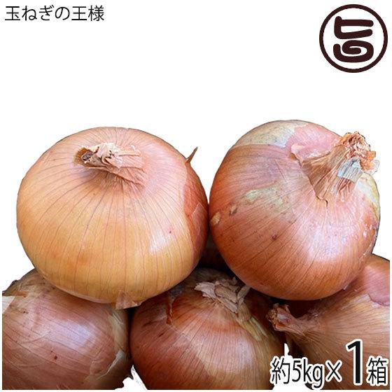 玉ねぎの王様 5kg×1箱 ニコマート ターザン 国産 淡路島産 お取り寄せ 野菜