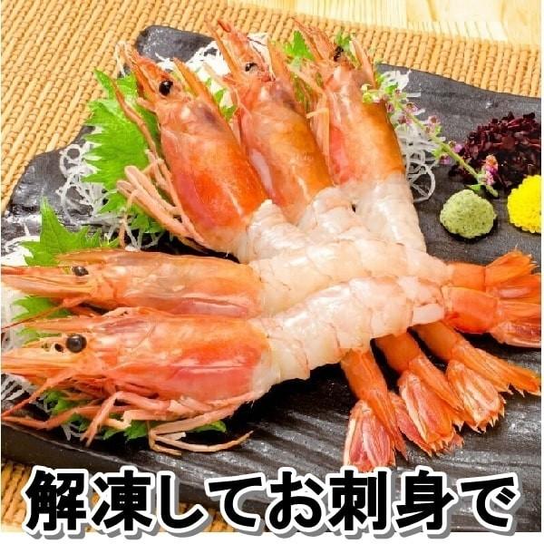 赤エビ ４ｋｇ （２ｋｇ約50尾　２箱） お刺身用 お試しクーポン付き 赤海老 お寿司 どんぶり サラダ ギフト