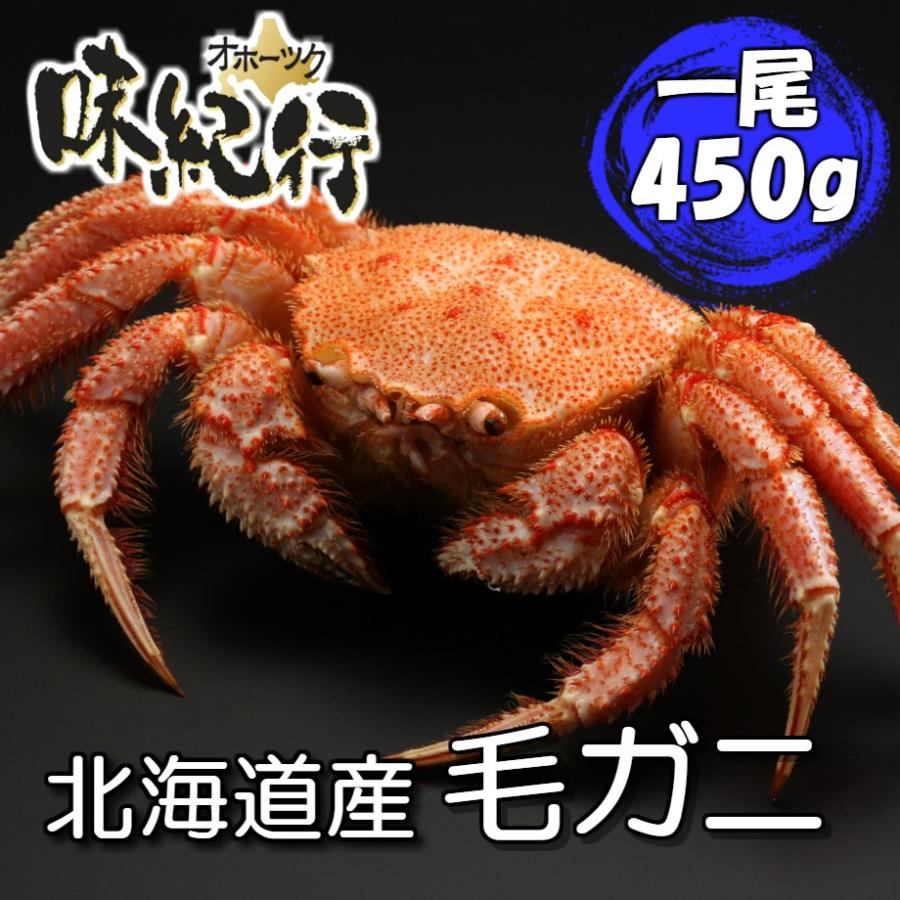 毛ガニ 北海道産 約450g 1尾入り ボイル済 送料無料 ギフト 毛がに カニ かに 蟹