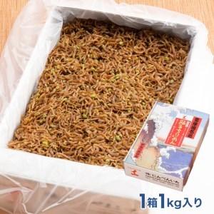 ふるさと納税 ちりめん山椒 1kg 天然 ちりめん 大洗 しらす シラス ご飯のお供 魚 さかな 魚介  離乳食 茨城県大洗町