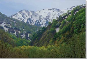 風景写真パネル 山形 朝日村 インテリア アートパネル ウォールデコ ディスプレイ パネル 写真 壁飾り 壁掛け 額要らず 模様替え 雰囲