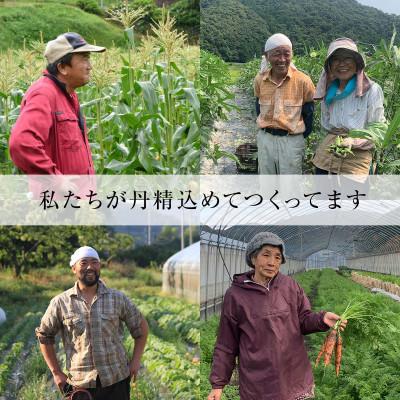 ふるさと納税 津和野町 島根県津和野産・採れたて旬の野菜詰め合わせセット[6〜8種セット]