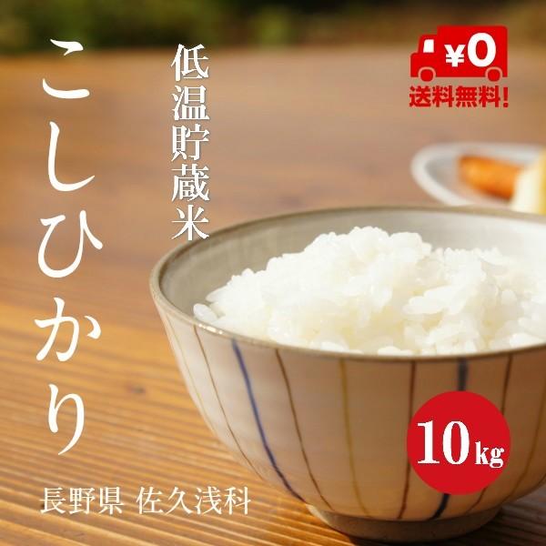 新米 令和５年産 長野県産 こしひかり 浅科産 １等米 白米 ５kg×２袋