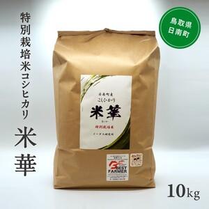 ふるさと納税 令和5年産 ノータス研究所 コシヒカリ10kg 鳥取県日南町