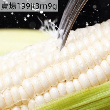 現貨🌽【玉米種子】🌽（50粒）四季種植 高產玉米種子 黑糯甜玉米種籽 水果玉米 草莓玉米種子  田園四季種植 當季新種