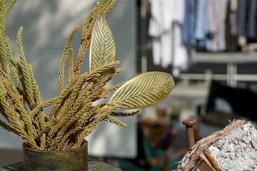 黃銅植物別針 鉛筆竹芋