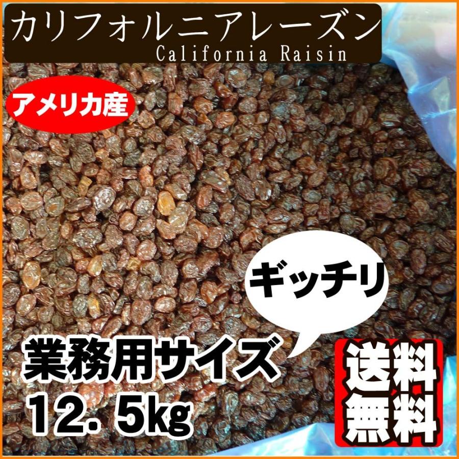 業務用カリフォルニアレーズン1箱12.5kgオイルコートあり 送料無料