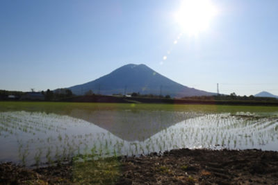 北海道ニセコ町 ニセコファームズ 味楽屡ゆきや ニセコファームズミラクルユキヤ 20%増量新米 合鴨ゆめぴりか精米胚芽米仕様10kg[水田環境鑑定士が選定]令和5年度産 