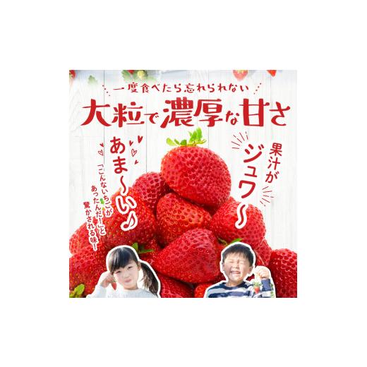 ふるさと納税 福岡県 久留米市 あまおういちご ２パック入×２箱（計４パック）