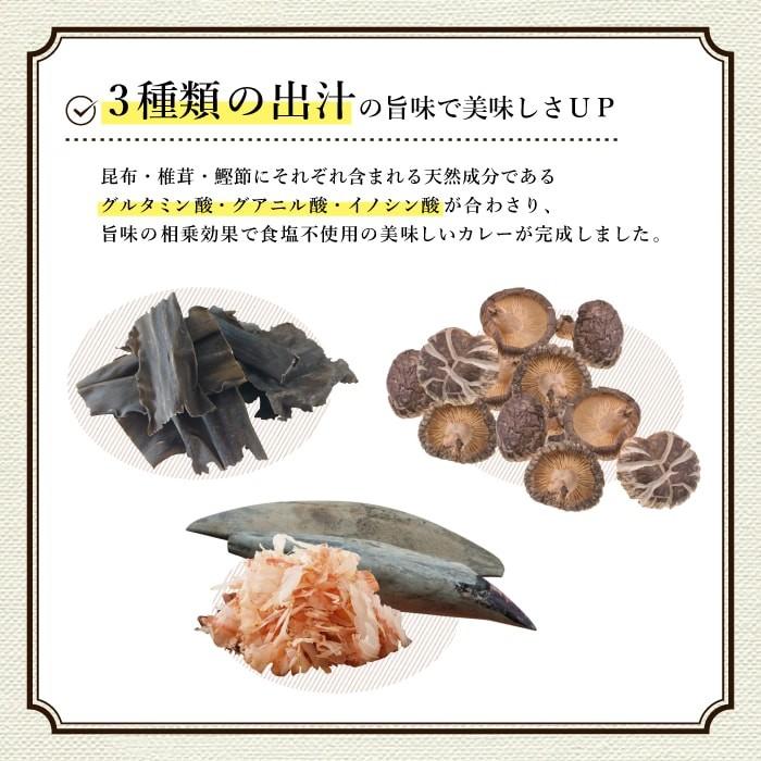 無塩 カレー 日本初 塩ぬき屋  食塩不使用 チキンカレー 辛口 ２袋セット 減塩 中の方にも お歳暮 お歳暮ギフト お歳暮プレゼント