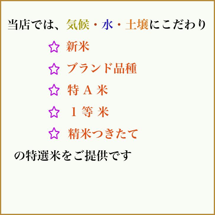 米 お米 はえぬき 5kgｘ2  無洗米 Ａ米 1等米  山形産 ごはん つきたて ごはんの炊き方 お米の選び方 ブランド米