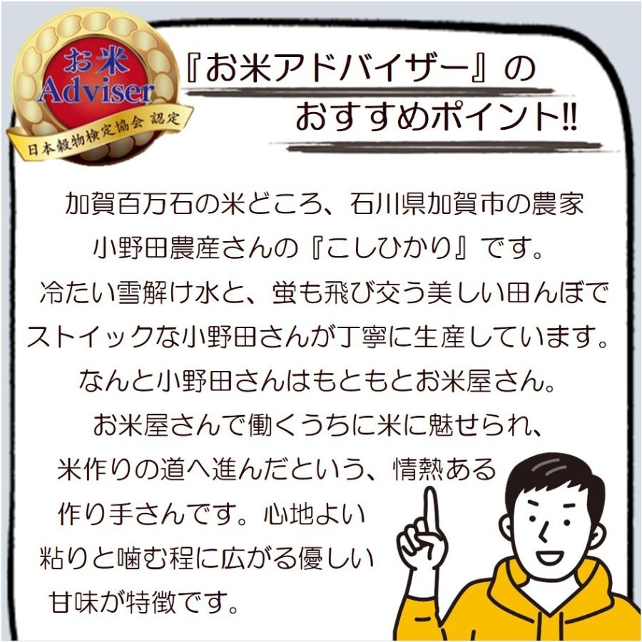 新米 石川県 加賀産 こしひかり 10kg コシヒカリ 生産者限定米 加賀百万石 5kg×2