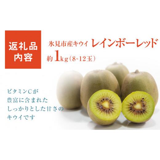 ふるさと納税 富山県 氷見市 氷見産キウイ（レインボーレッド）約1kg（8〜12玉）  ｜　富山県 氷見市 レインボーレッドキウイ 国産 キウイフルーツ