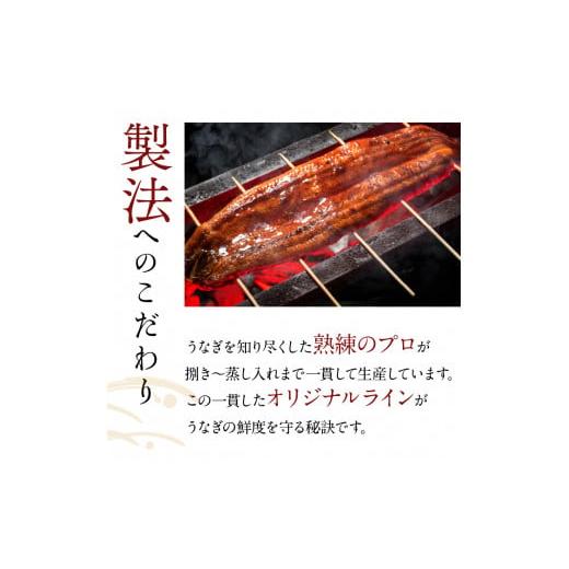 ふるさと納税 茨城県 行方市 AD-86　やわらか新仔うなぎ蒲焼120〜140ｇ　5尾×6回　計3600ｇ以上