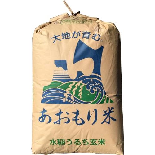 玄米 2kg 青森 青天の霹靂（へきれき） （玄米のまま）