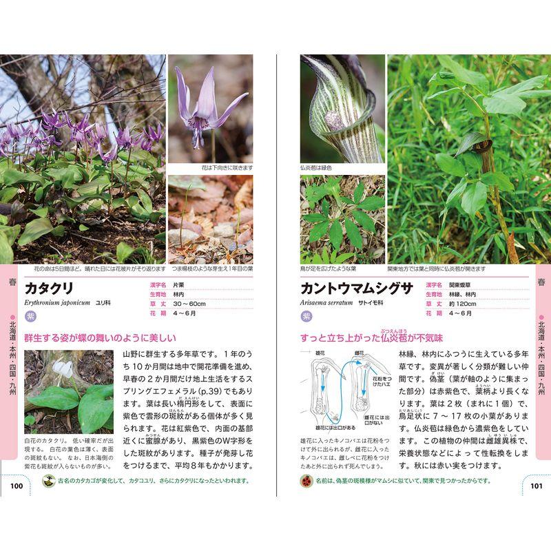 自然散策が楽しくなる 草花・雑草図鑑