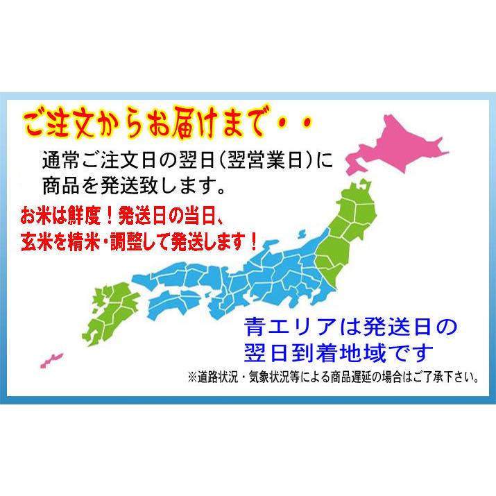 新米 令和5年産 10kg (5kg×2袋) 熊本県産 森のくまさん 玄米 白米 7分づき 5分づき 3分づき 注文後に精米