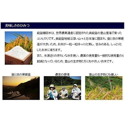 新米 令和5年産 石川産 奥能登 棚田コシヒカリ 10kg (5kg×2袋) 特別栽培米 棚田米 (白米精米 約4.5kg×2袋でお届け)