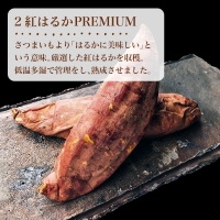 壺みついも 丸ごとセット(300g前後×3本) 壺炭焼き紅はるかPREMIUM 焼き芋 スイーツ やきいも さつまいも おやつ ギフト「2023年 令和5年」