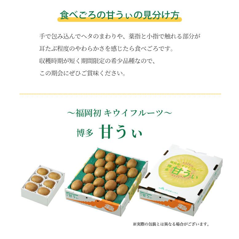 キウイフルーツ 甘うぃ 5Lサイズ 20玉 3.6kg 福岡県産 JAふくおか八女 ギフト 贈り物 ギフト お取り寄せ