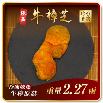 寶芝靈極品嚴選｜牛樟椴木子實體（冷凍乾燥牛樟菇20000以上品級）約2.27兩