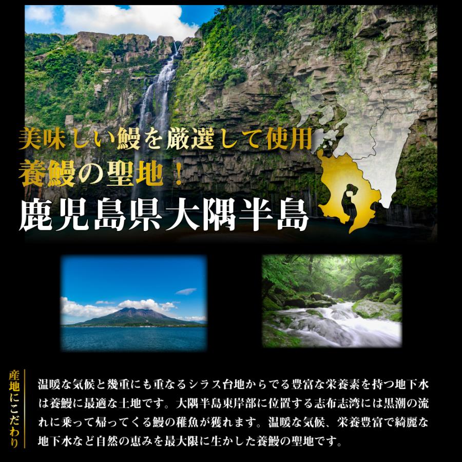 鹿児島産鰻蒲焼 有頭 4尾セット 1尾あたり220g前後  国産うなぎ