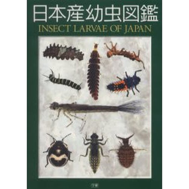 日本産幼虫図鑑 | LINEショッピング