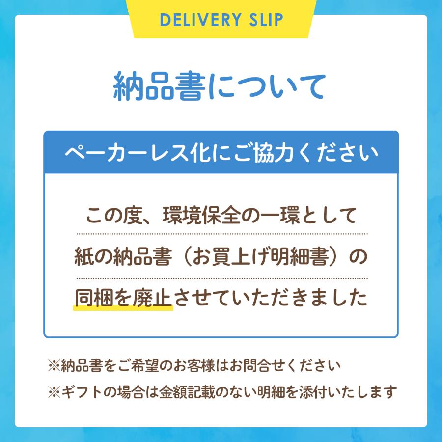 ドライフルーツ マンゴー ドライマンゴー 砂糖不使用 無添加 70g x 3袋 マンゴー100% ミスターマンゴー