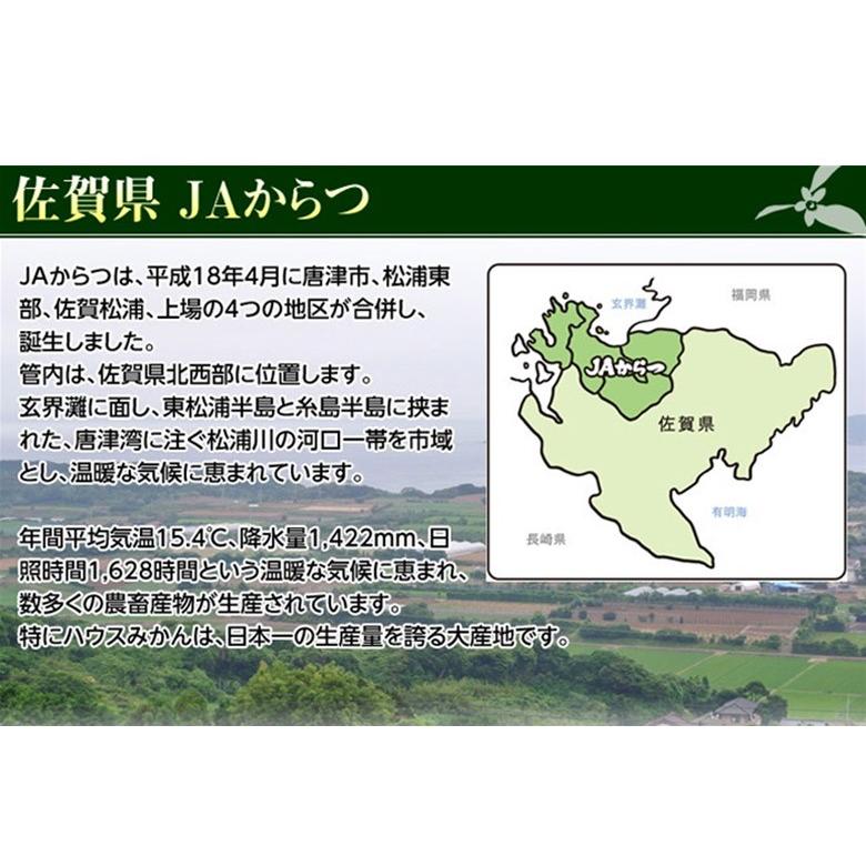 『うまか美人（超大玉）』佐賀県産 みかん 2L〜3Lサイズ 約5kg 産地箱入※常温　送料無料