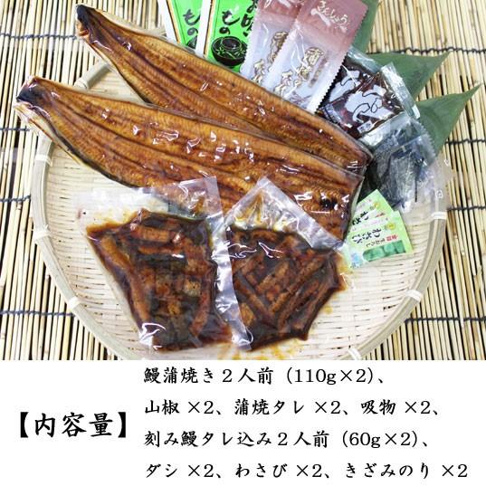 うなぎ蒲焼 ＆ うな茶漬け　国産　4人前　蒲焼110g×2　刻み鰻タレ込み60g×2　浜松　浜名湖　冷凍便　お取り寄せ