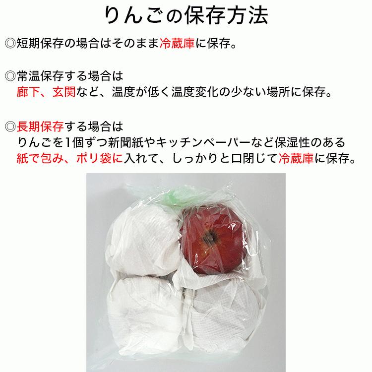 りんご 葉とらずりんご 贈答用 サンふじ 無袋ふじ 減農薬 5Kg 樹上完熟 長野県産 葉取らず 信州りんご リンゴ 林檎