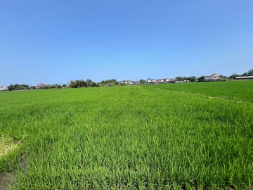 壯圍 足坪低單價超值農地 喜歡價可議E037｜宜蘭縣壯圍鄉壯濱三段