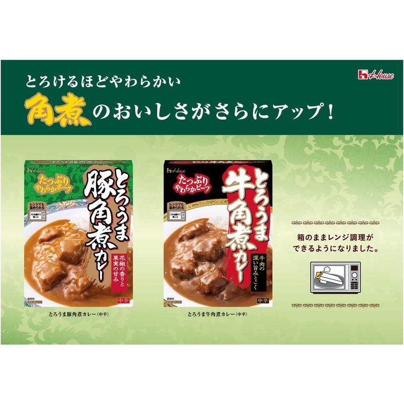 ハウスとろうま豚角煮カレー 200g ×5個 レンジ化対応・レンジで簡単調理可能