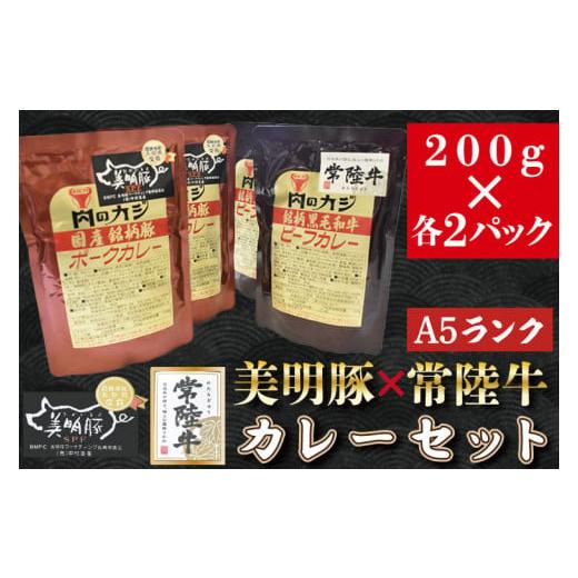 ふるさと納税 茨城県 行方市 DT-42カレー２パック＋カレー２パック