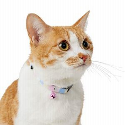 シェイク ブリオ（ねこ首輪） ブルー・17－26 猫用首輪
