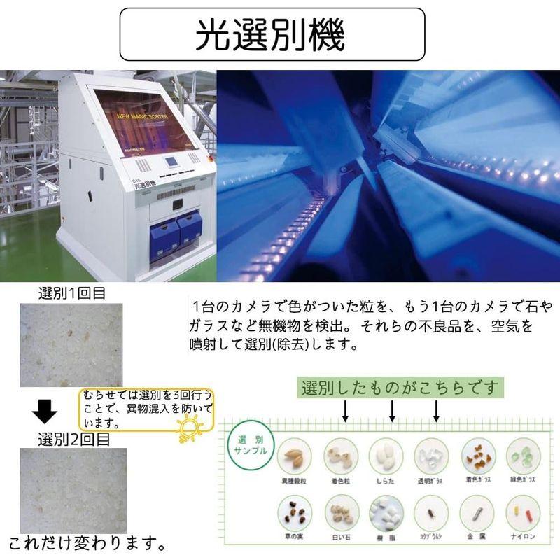 精米 岩手県産 白米 銀河のしずく 5kg