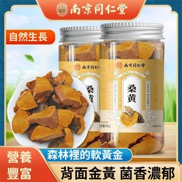 ✨台灣24H處理✨南京同仁堂 1瓶/50g  桑黃中藥材 男女通用養生茶桑黃