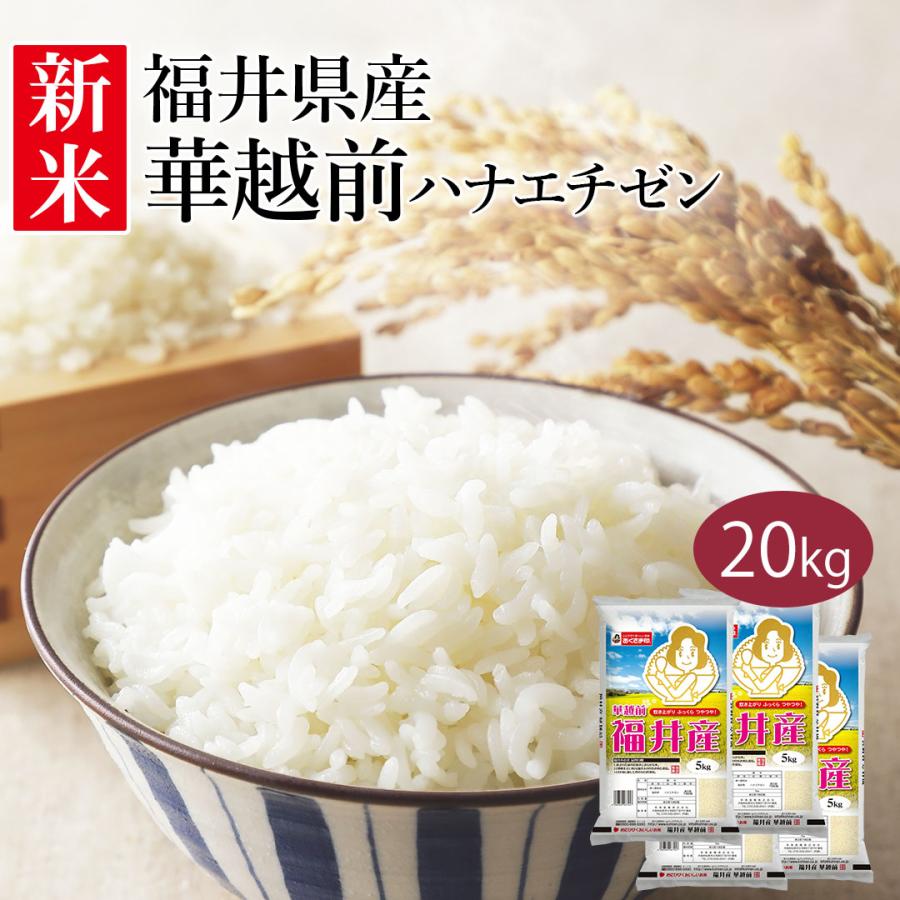 米 お米 米20kg 白米 送料無料 華越前 ハナエチゼン 福井県産 安い 米 20kg こめ20kg 米20キロ お米20キロ お米20kg 精米 単一原料米 令和5年産 新米 美味しい