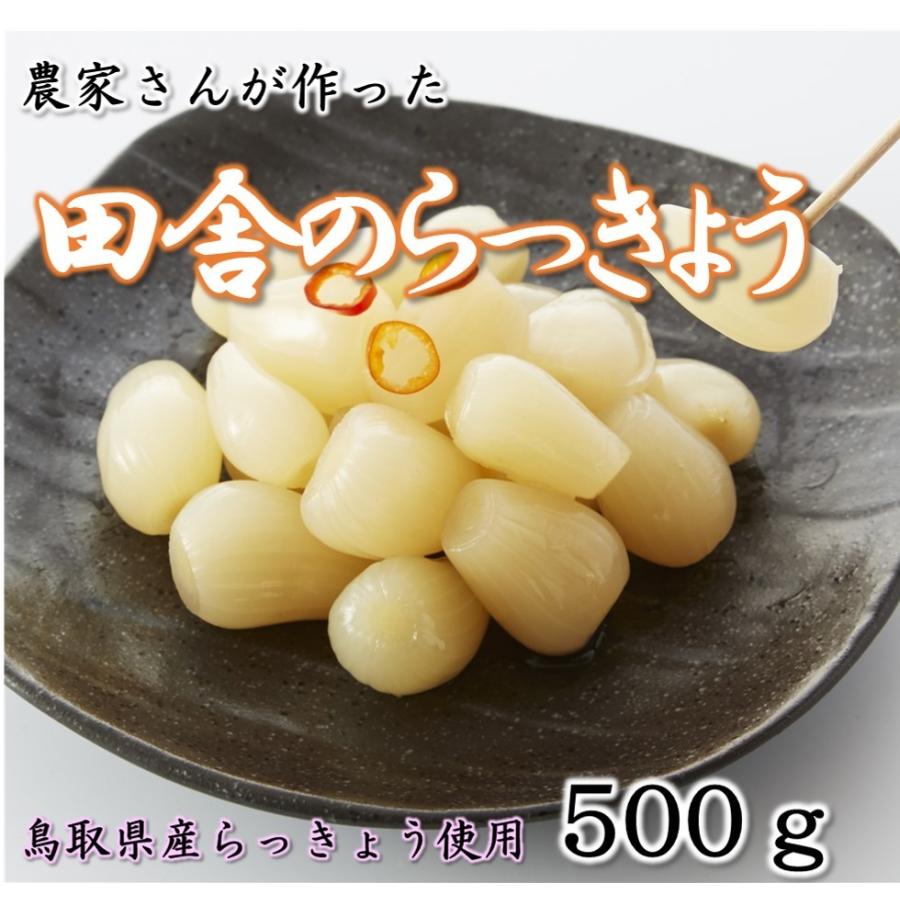 らっきょう 甘酢らっきょう漬け 鳥取県産らっきょ使用 500ｇ 田舎のらっきょう